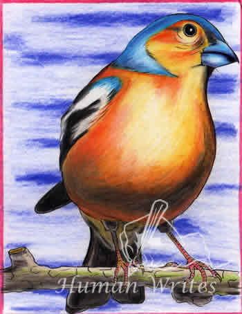 Prisoner artwork