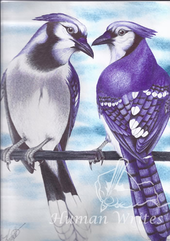 Prisoner artwork